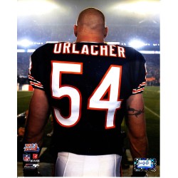 BRIAN URLACHER 8X10 OFFICIAL PHOTO NFL