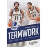 NOWITZKI / WILLIAMS 2016-17 PRESTIGE " TEAMWORK "