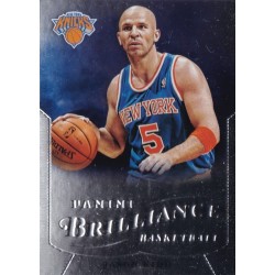 JASON KIDD 2012-13 PANINI BRILLIANCE