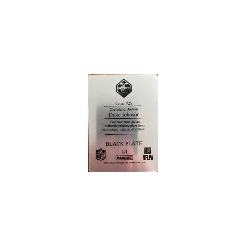 DUKE JOHNSON PRINTING PLATE ILLIMITED 1/1