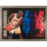 CHRIS WEBBER 1994-95 HOOPS BIG NUMBER BLEU/RED BN7
