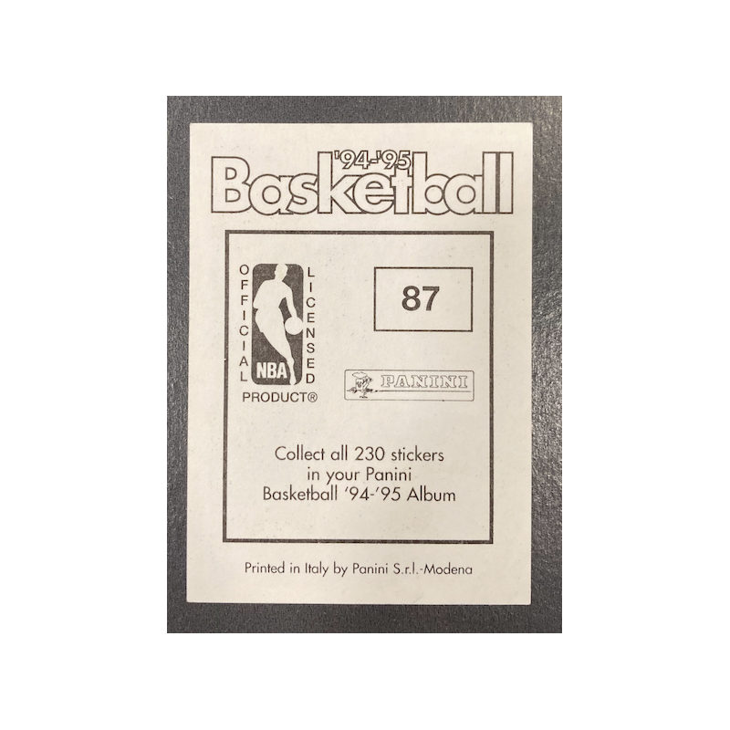 PATRICK EWING 1994-95 PANINI STICKERS 87