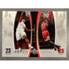 MICHAEL JORDAN / LEBRON JAMES 2005 UPPER DECK DUAL - LJMJ8