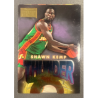 SHAWN KEMP / GARY PAYTON SKYBOX 1996-97 THUNDER & LIGHTNING