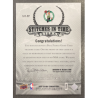 PAUL PIERCE 2007-08 UPPER DECK CHRONOLOGY STITCHES IN TIME JERSEY /99
