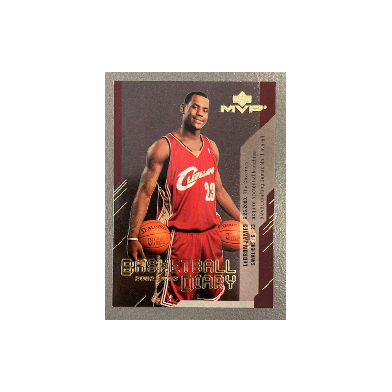 LEBRON JAMES 2003-04 UPPER DECK MVP BASKETBALL DIARY - BD13