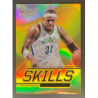 2013-14 PAUL PIERCE Panini Select Skills Prizm Gold18 9/10