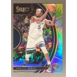 GORGUI DIENG 2017-18 Select Prizms Tie Dye 25/25