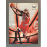 MICHAEL JORDAN 2006-07 Sweet Shot - 12