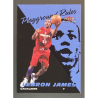 carte NBA LEBRON JAMES 2003-04 Fleer Tradition Playground Rules 1
