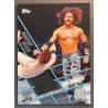 JOHN MORRISON 2011 Topps Ringside Relics Event Used Ring Skirt Relic