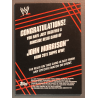 JOHN MORRISON 2011 Topps Ringside Relics Event Used Ring Skirt Relic