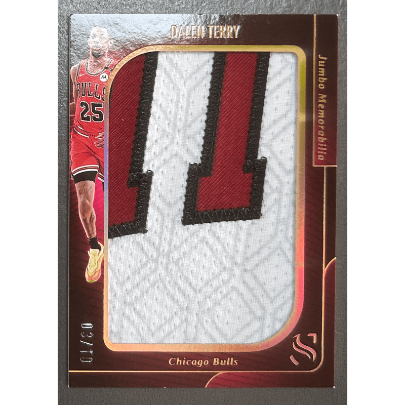 Dalen Terry 2024-25 Panini Silhouette jumbo patch 03/10
