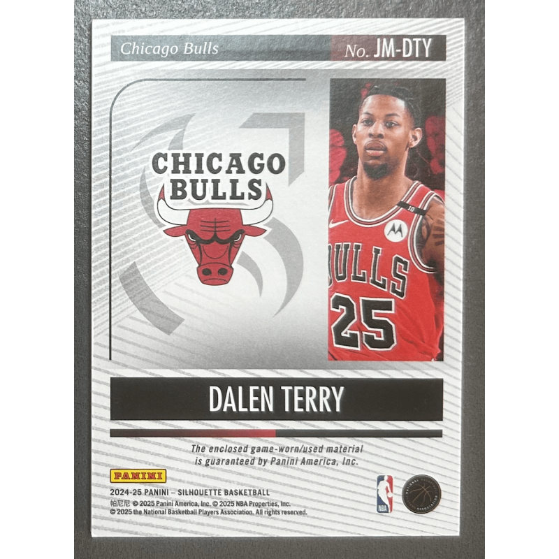 Dalen Terry 2024-25 Panini Silhouette jumbo patch 03/10