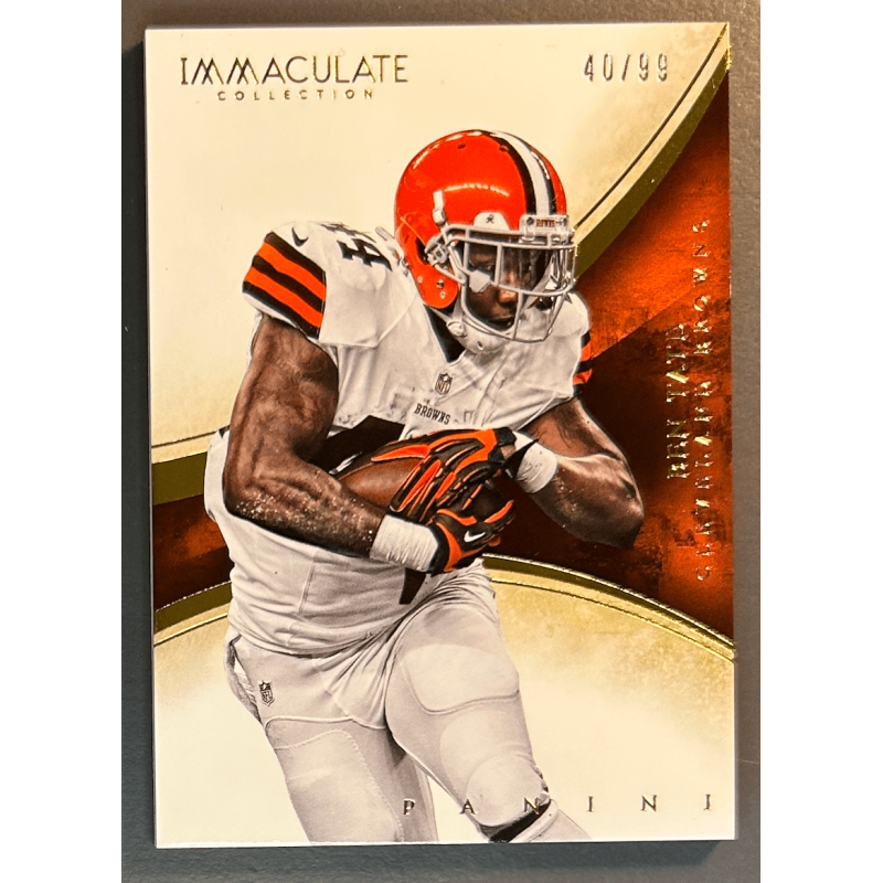 Ben Tate 2014 Panini Immaculate 40/99