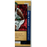 Paul Pierce 2004-05 Upper Deck Hardcourt Etched In Time 1/1