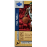 Paul Pierce 2004-05 Upper Deck Hardcourt Etched In Time 1/1