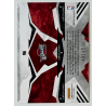 LeBron James 2009-10 Rookies and Stars Team Leaders 441/500