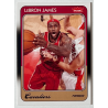 LeBron James 2008-09 Fleer 1988-89 variation