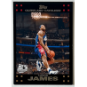 LeBron James 2007-08 Topps 23