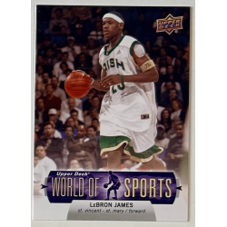 LeBron James 2011 Upper Deck World of Sports 33