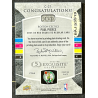 PAUL PIERCE 2007-08 Exquisite masterpiece autograph 1/1 cyan
