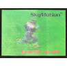 Emmitt Smith 1996 SkyBox SkyMotion 48