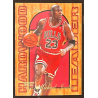 Michael Jordan 1995-96 Fleer Flair Hardwood Leaders