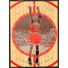 Michael Jordan 1998 Upper Deck Hardcourt 23A Special