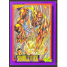 Shaquille O'Neal 1993 Classic Superheroes SS1